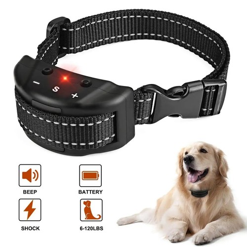 Pet dog training collar - dog,