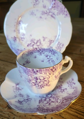 Foley china 1890s - foley, wileman