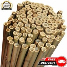 Bamboo Canes Plant Support