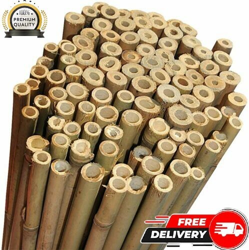 Bamboo canes plant support - canes,