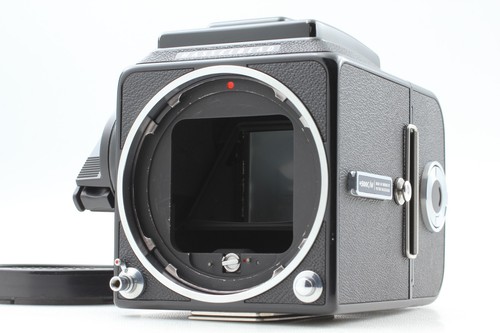 Black late body near - late, mint]