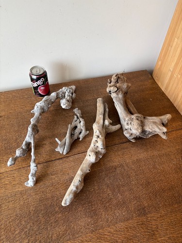 Driftwood pieces unusual - x4,