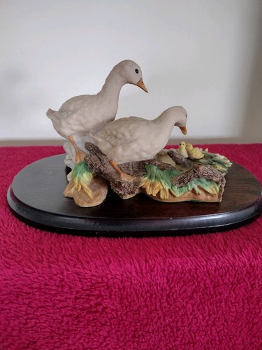 Ainsley mastercraft ducks - ainsley, and