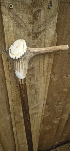 Classic canesantler horn - classic,