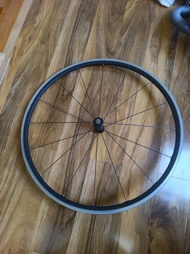 Campagnolo bicycle cycle bike - bicycle,