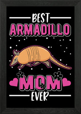 Armadillo Gift Framed Wall Art