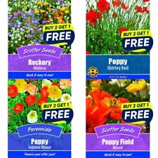 Flower Seeds Plants Borders