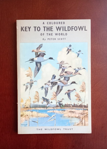 Coloured key the wildfowl - to,