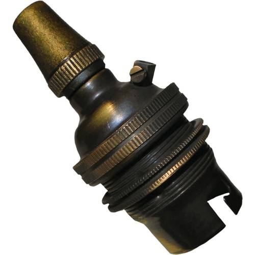B22 earthed lampholder with - earthed,