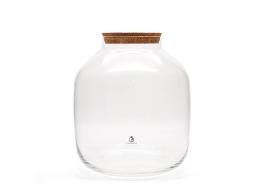 Terrarium glass with - terrarium, cork