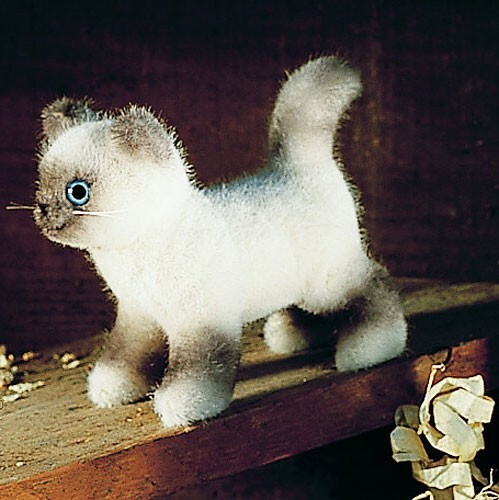 Birman cat kosen - kosen, burmese