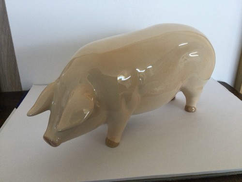 Cooper craft saddleback pig - cooper,