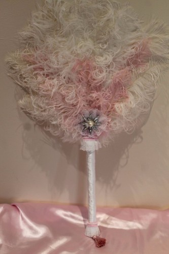 Large ostrich feather - ostrich,