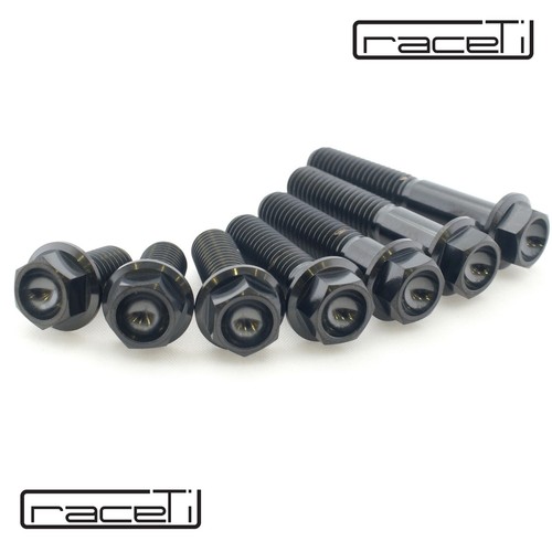 Titanium hex head - titanium,
