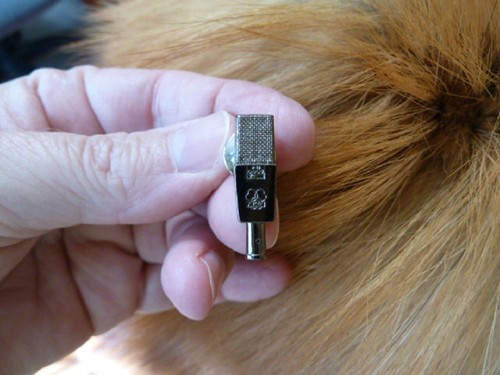 Akg c414 mic - c414,