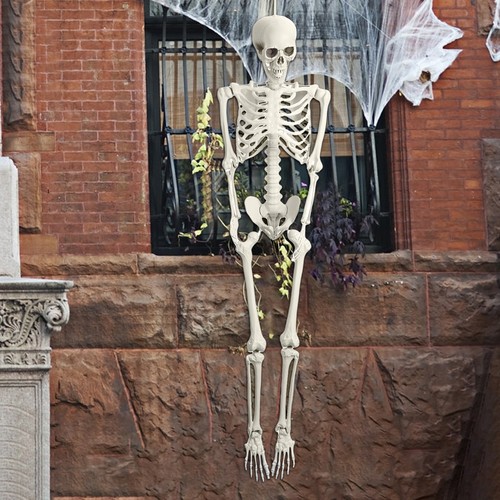 4ft poseable skeleton - 5.4ft,