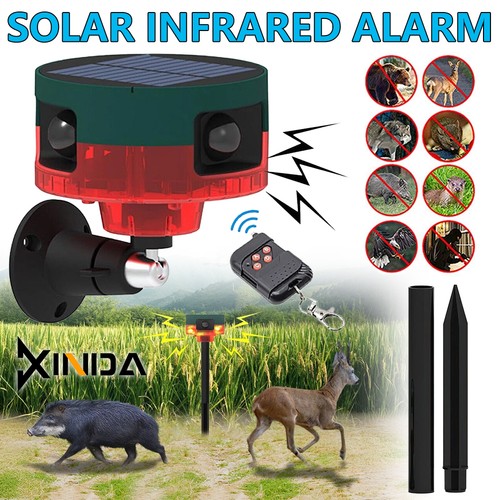 Solar power motion sensor - uk,