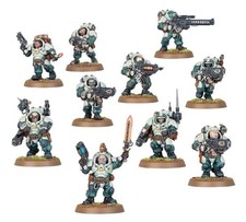 Hearthkyn Warriors x10 NOS