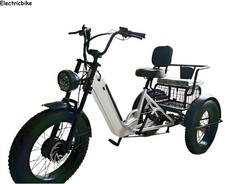 20" Electric Tricycle 48V 12Ah