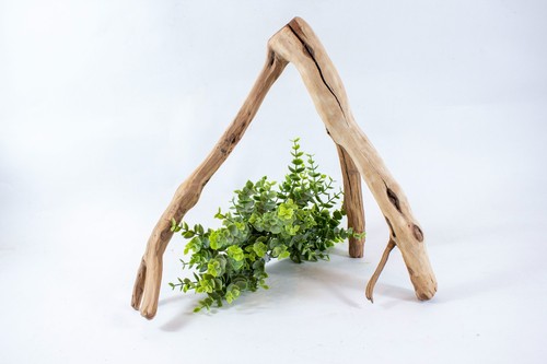 Manzanita aquarium driftwood - aquarium,