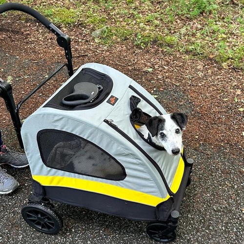 Portable dog stroller foldable - portable,