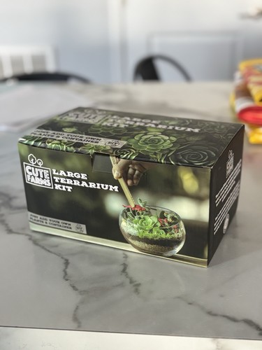 Diy terrarium kit cute - diy, farms