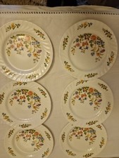 Six Aynsley Cottage Garden