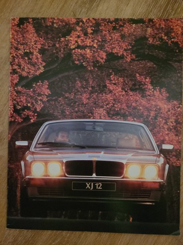 Jaguar italian 1993 - 12,