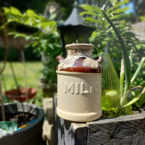 Vintage small milk churn jug - vintage,