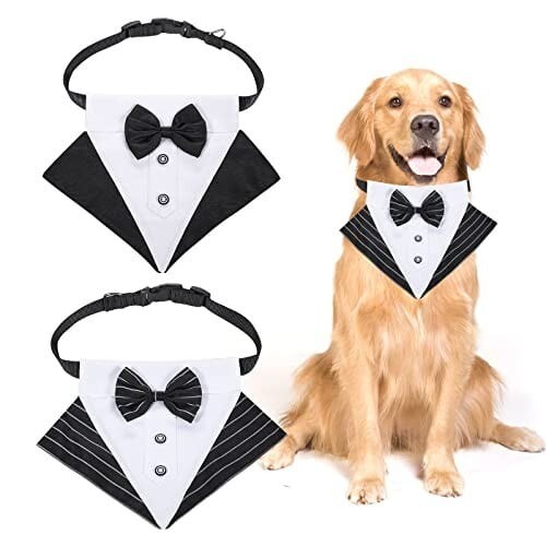 Clearance dog tuxedo bandana - dog,