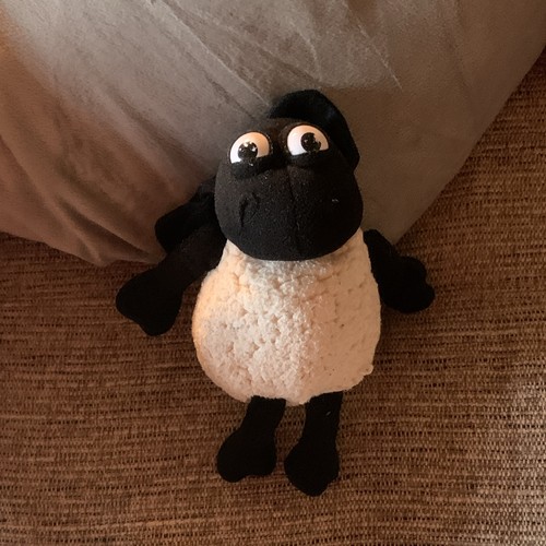 Shaun the sheep timmy - sheep, time