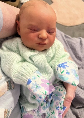 Reborn doll laura - reborn, laura.