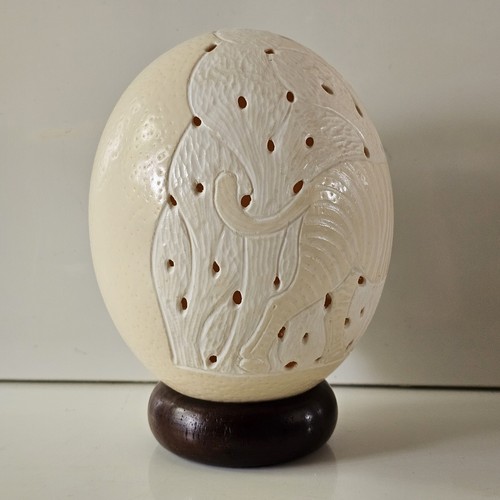 African ostrich high egg - ostrich,