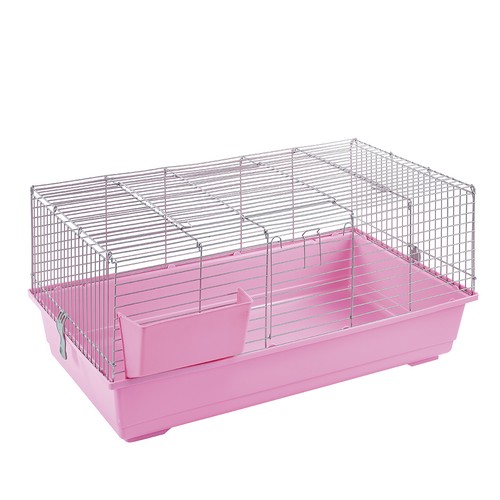 Rabbit guinea pig - pig, cage