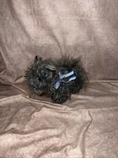 The Wizard of Oz Toto in a