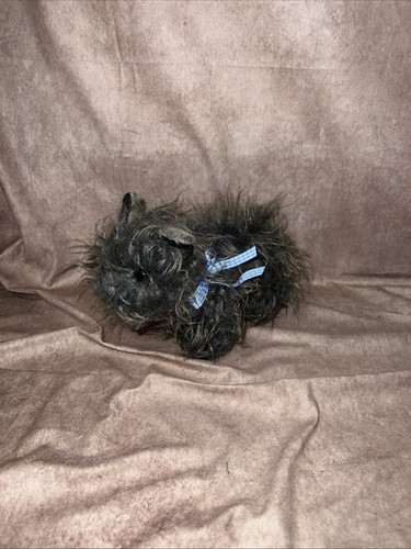 The wizard toto - the, in