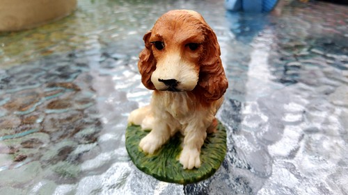 Small castagna cocker spaniel - small,