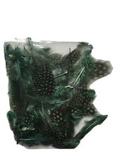 Guinea Fowl ,Dyed Feathers ,2