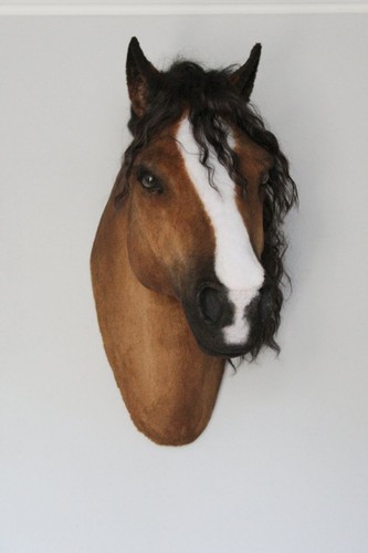 Life size horse head wall - horse,