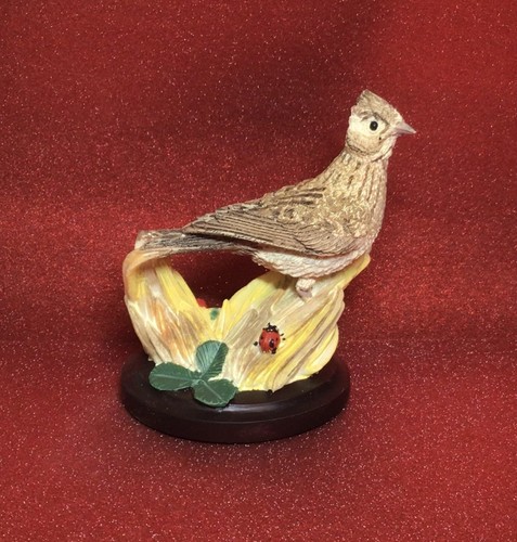 Country bird collection andy - bird,