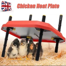 Adjust Chick Brooder Heating