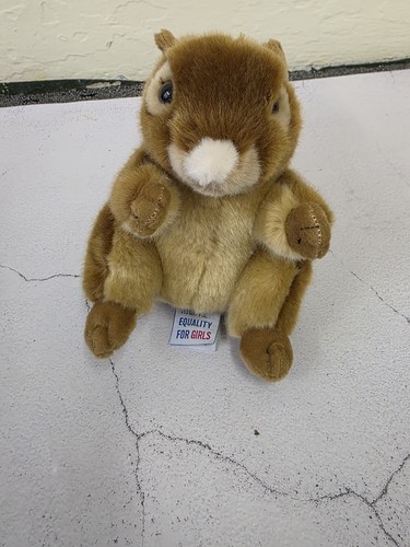 Nature planet red squirrel - red,