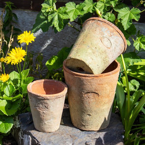 Set aged terracotta plant - set,