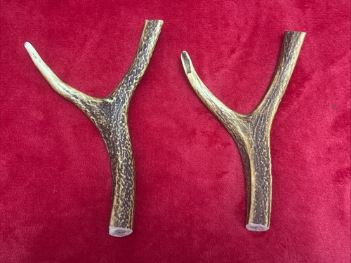 Pieces sika deer - of,