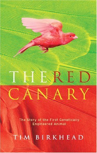 The red canary - the, of