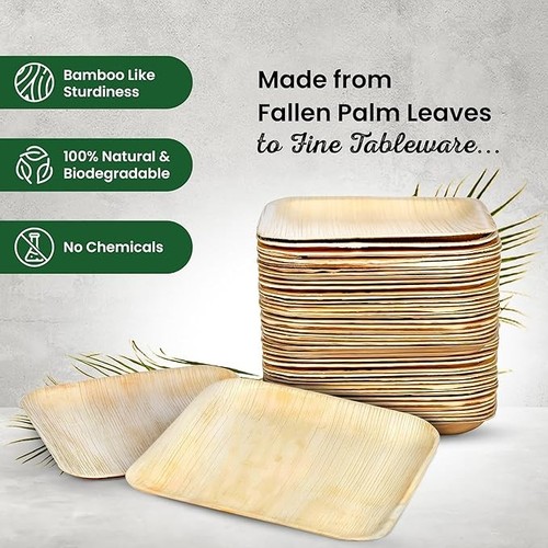 Palm leaf plates 24cm - x,