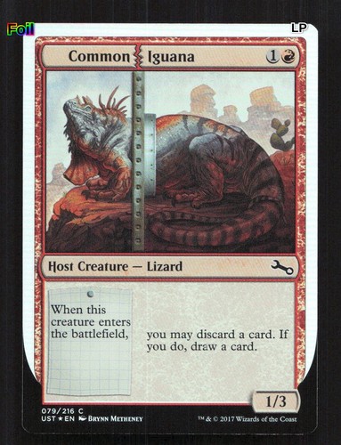 Common iguana foil 79 - -,