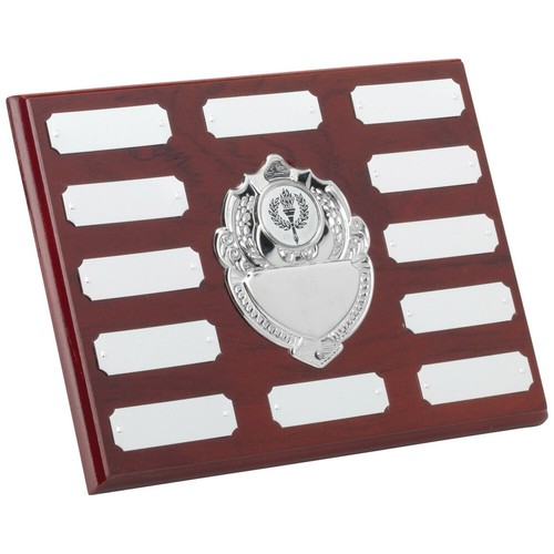 Multi activity annual plaque - activity,