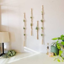 Macrame Air Plant Hanger