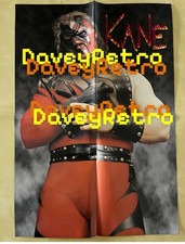 WWF Wrestling Superstars Kane